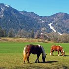 Am Berg noch Schnee, im Tal frisches Grün