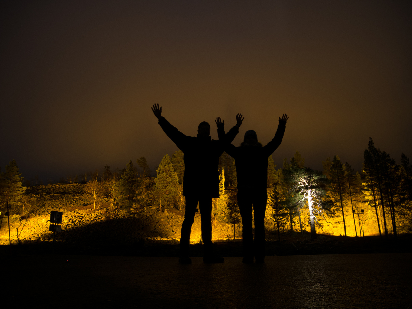 Am Berg Ylläs in Lappland / Finnland