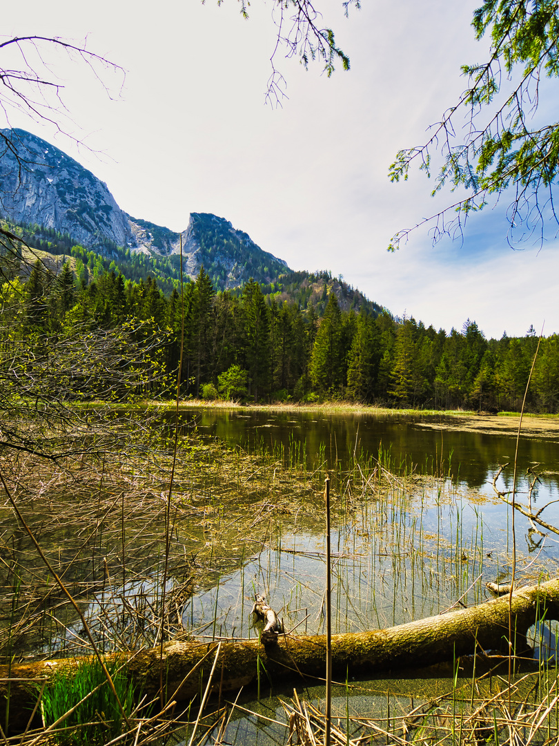 Am Bergsee