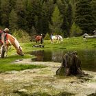 Am Bergsee