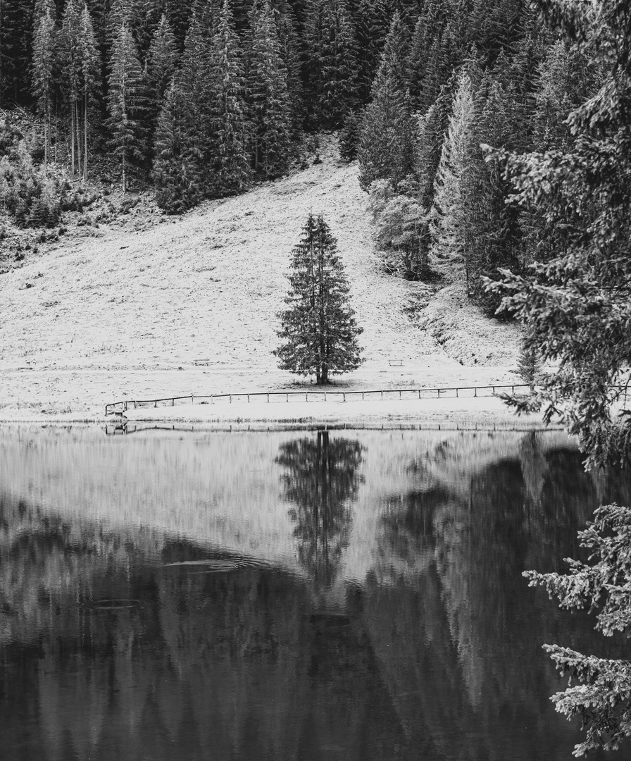 Am Bergsee