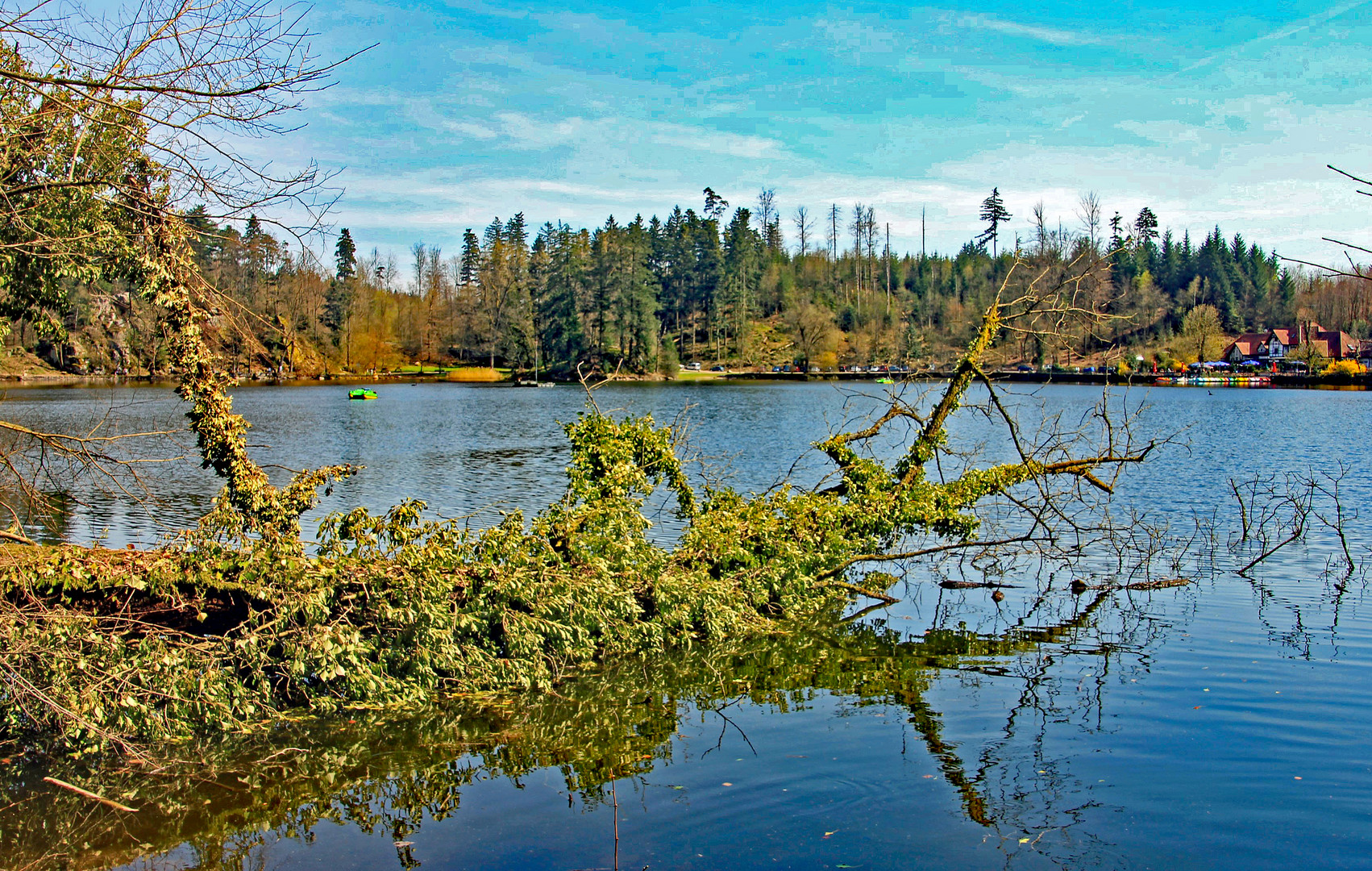 am Bergsee