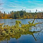 am Bergsee