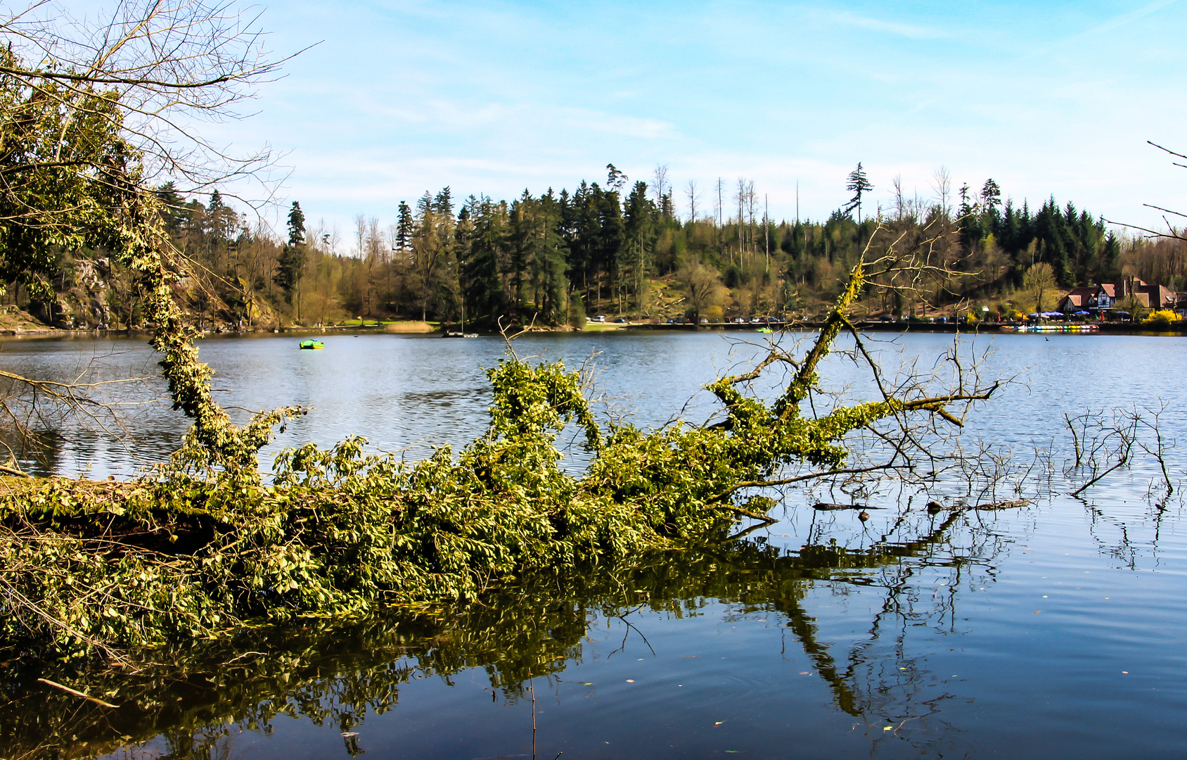 am Bergsee