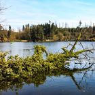 am Bergsee