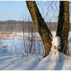 Am Bergsee in Damme