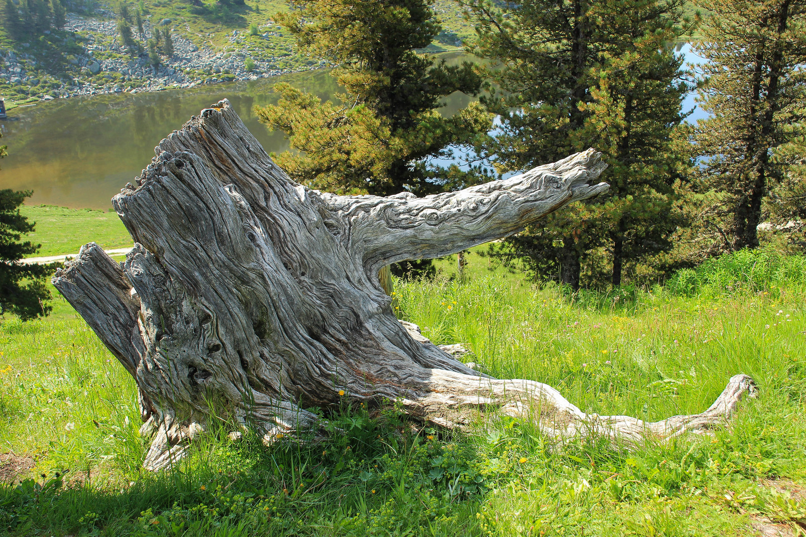 Am Bergsee von Haute Nendaz, Wallis