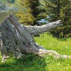 Am Bergsee von Haute Nendaz, Wallis