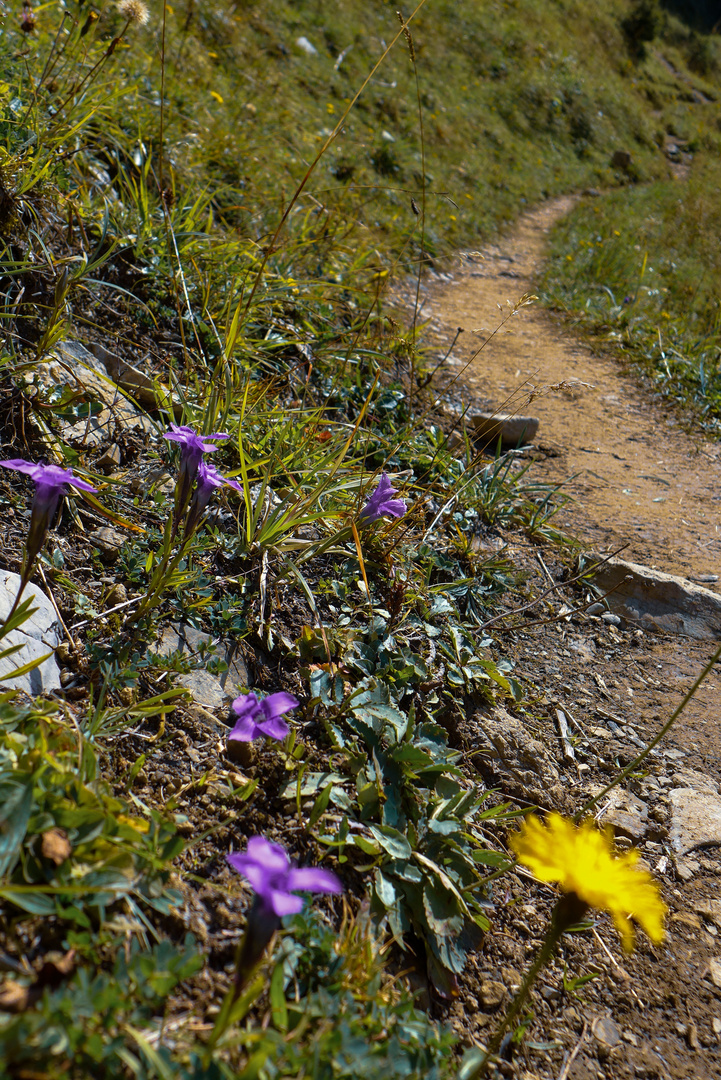 Am Bergweg