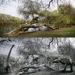 Am Berliner-Obersee Gestern und Vorvorgestern