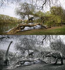 Am Berliner-Obersee Gestern und Vorvorgestern