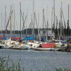 am Bernsteinsee bei Bitterfeld