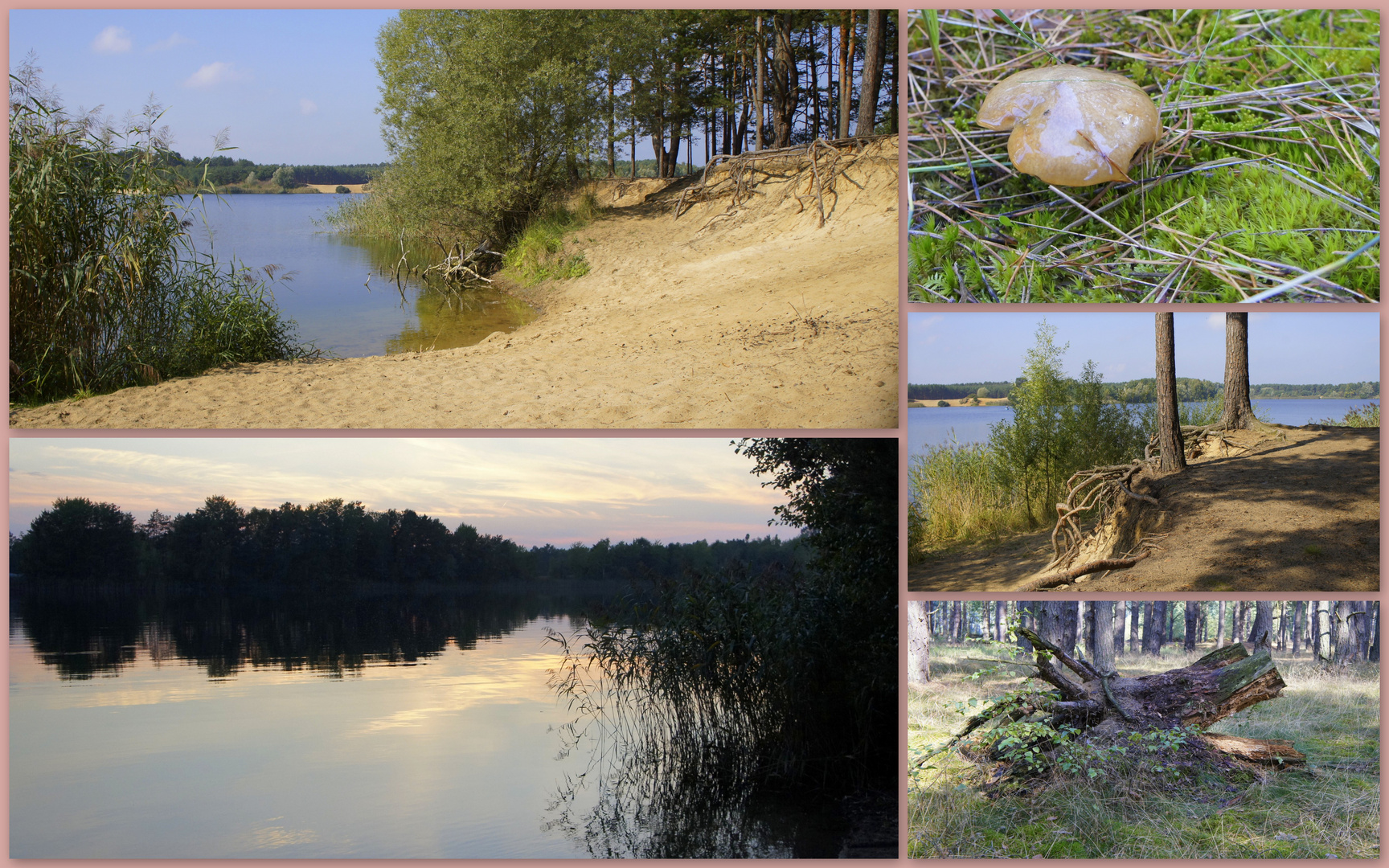 am Bernsteinsee