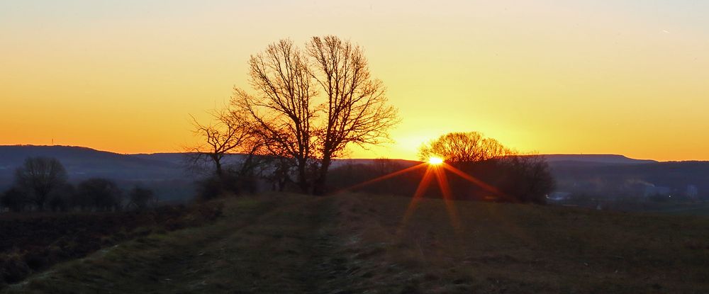 Am besten Fototag der Woche ist die Sonne schon über dem Meusegaster Ziegenrücken aufgegangen...