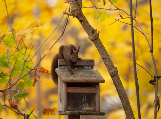 Am besten schleiche ich mich von hinten an...