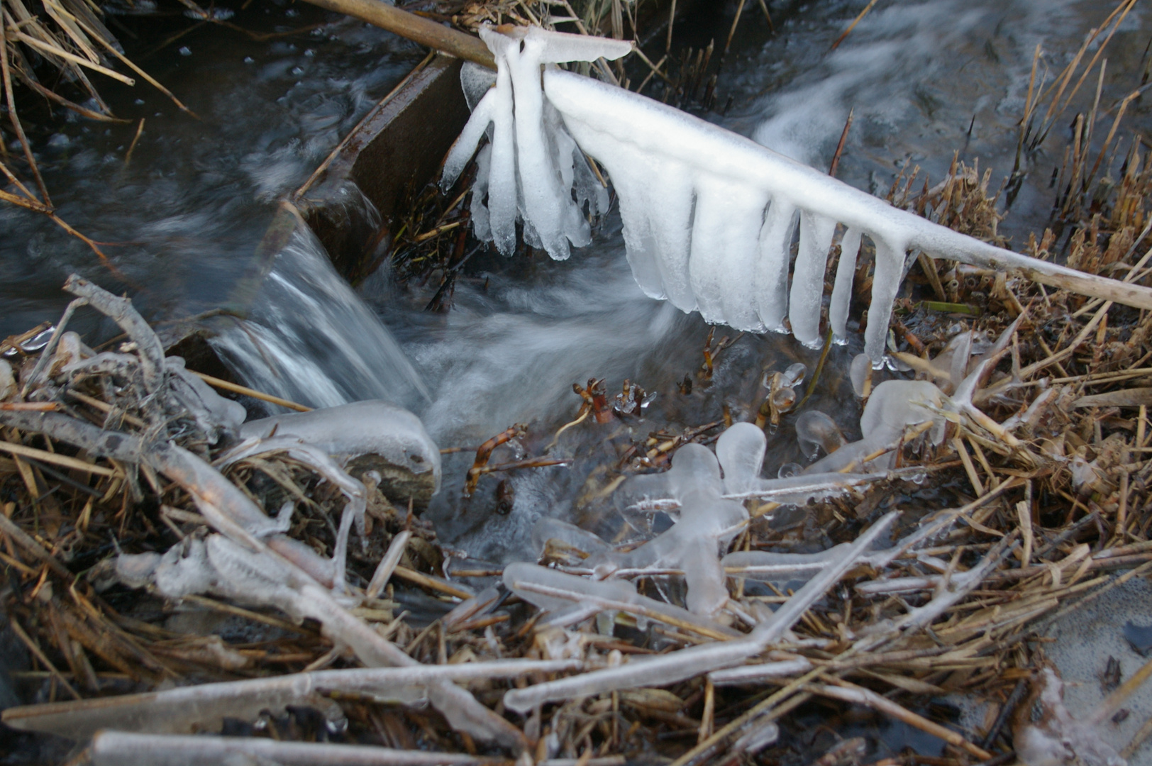 Am Biberdamm /    Eiszauber