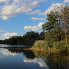 Am Bienroder See