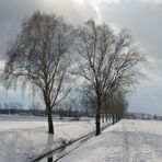 Am Bipperkanal