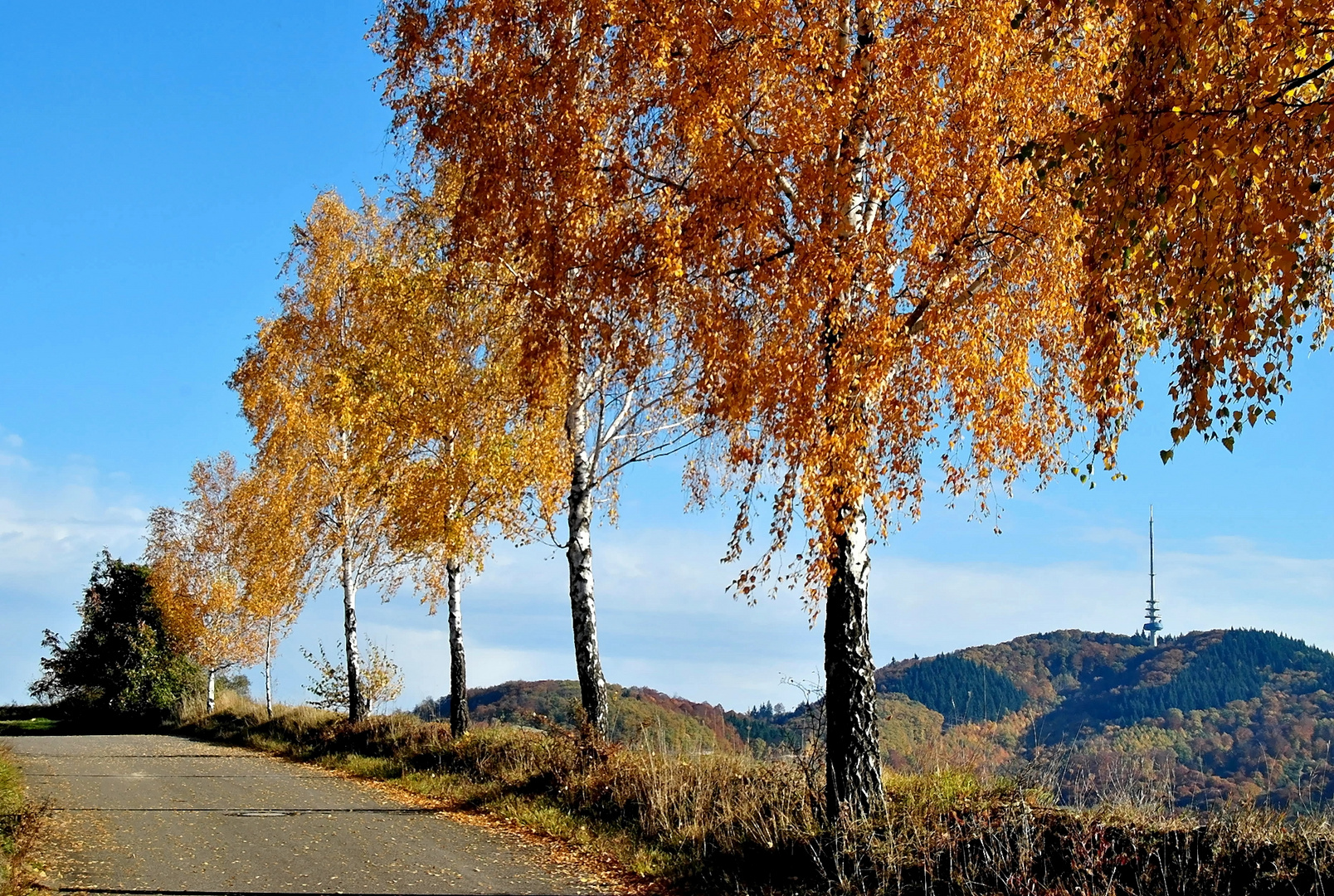 Am Birkenweg