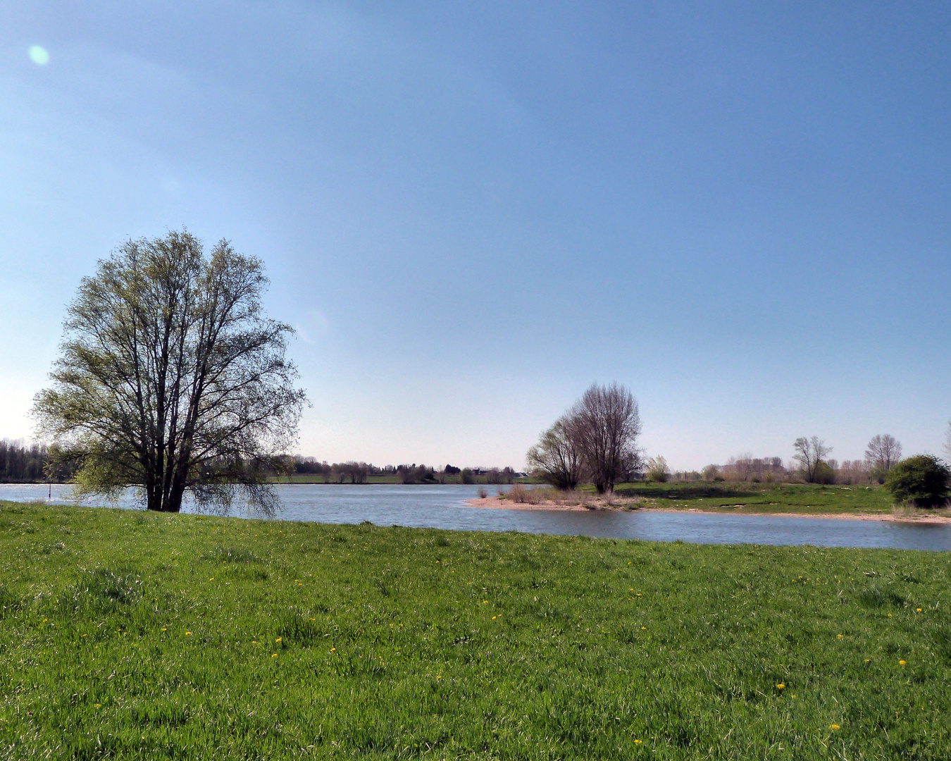 Am Bislicher Rheinfährkopf im Frühjahr