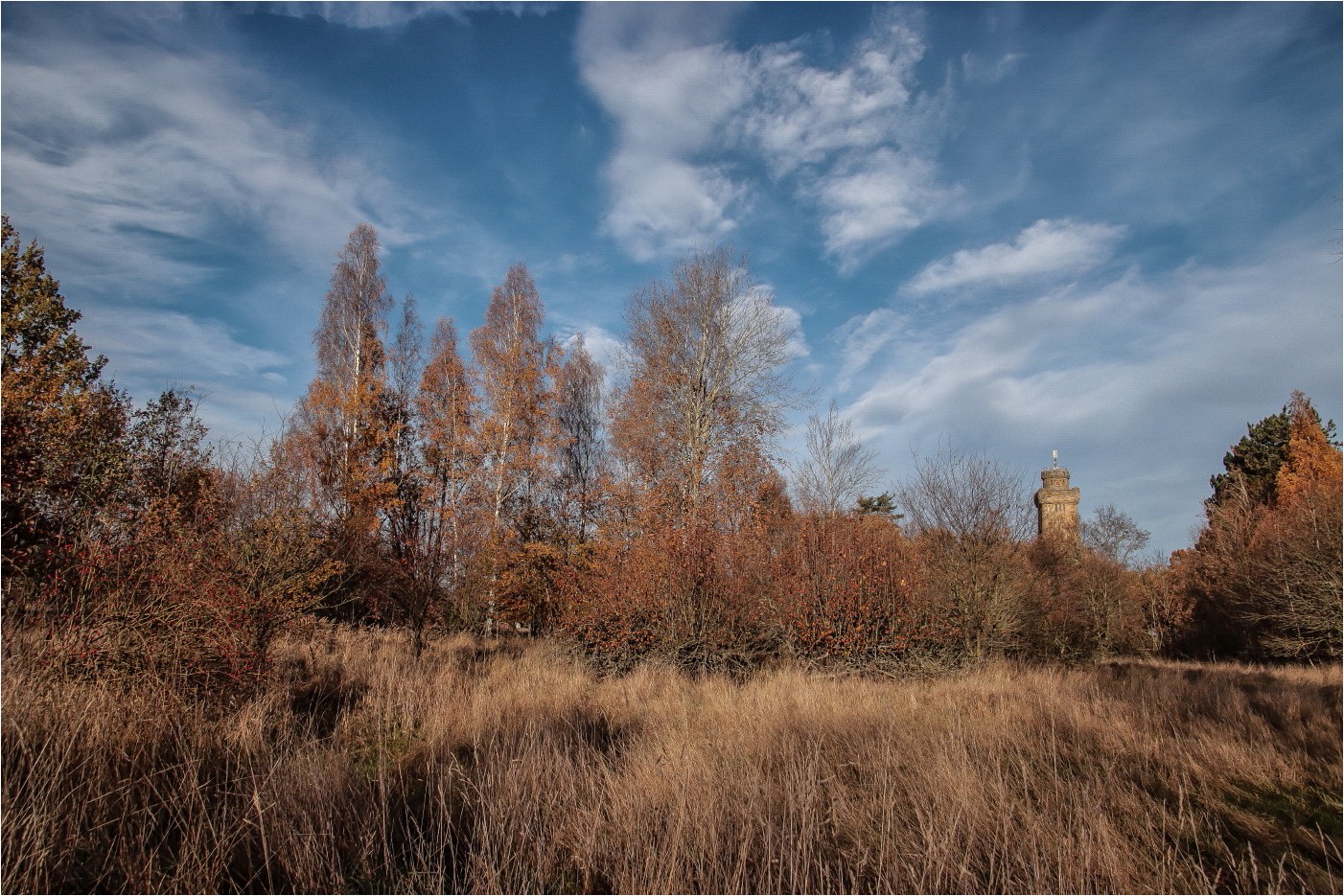 Am Bismarkturm