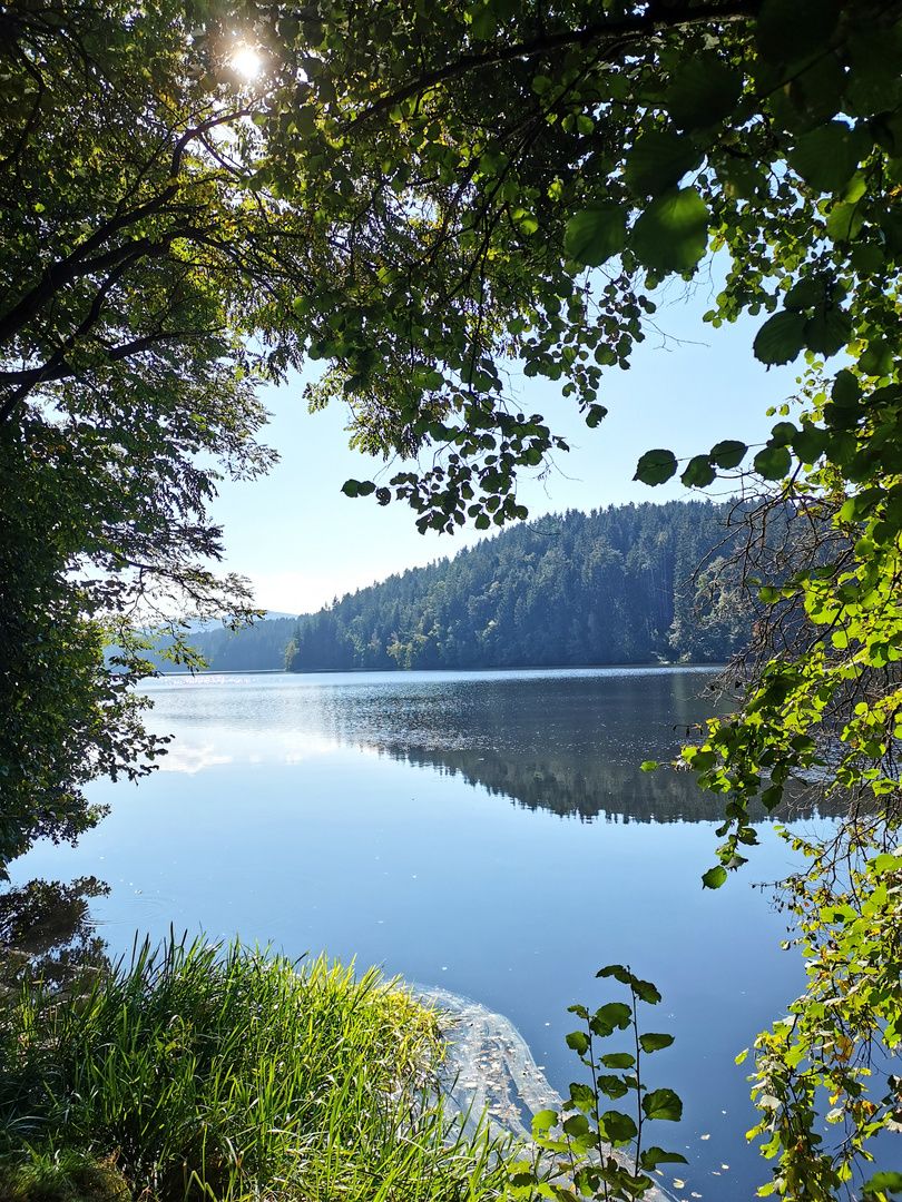 Am Blaibacher See