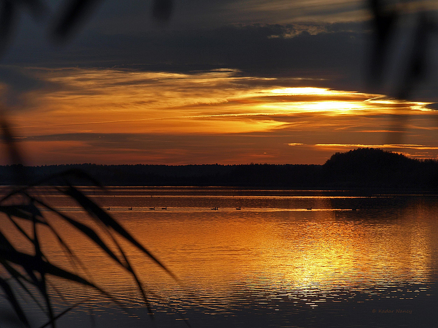 Am Blankensee 1