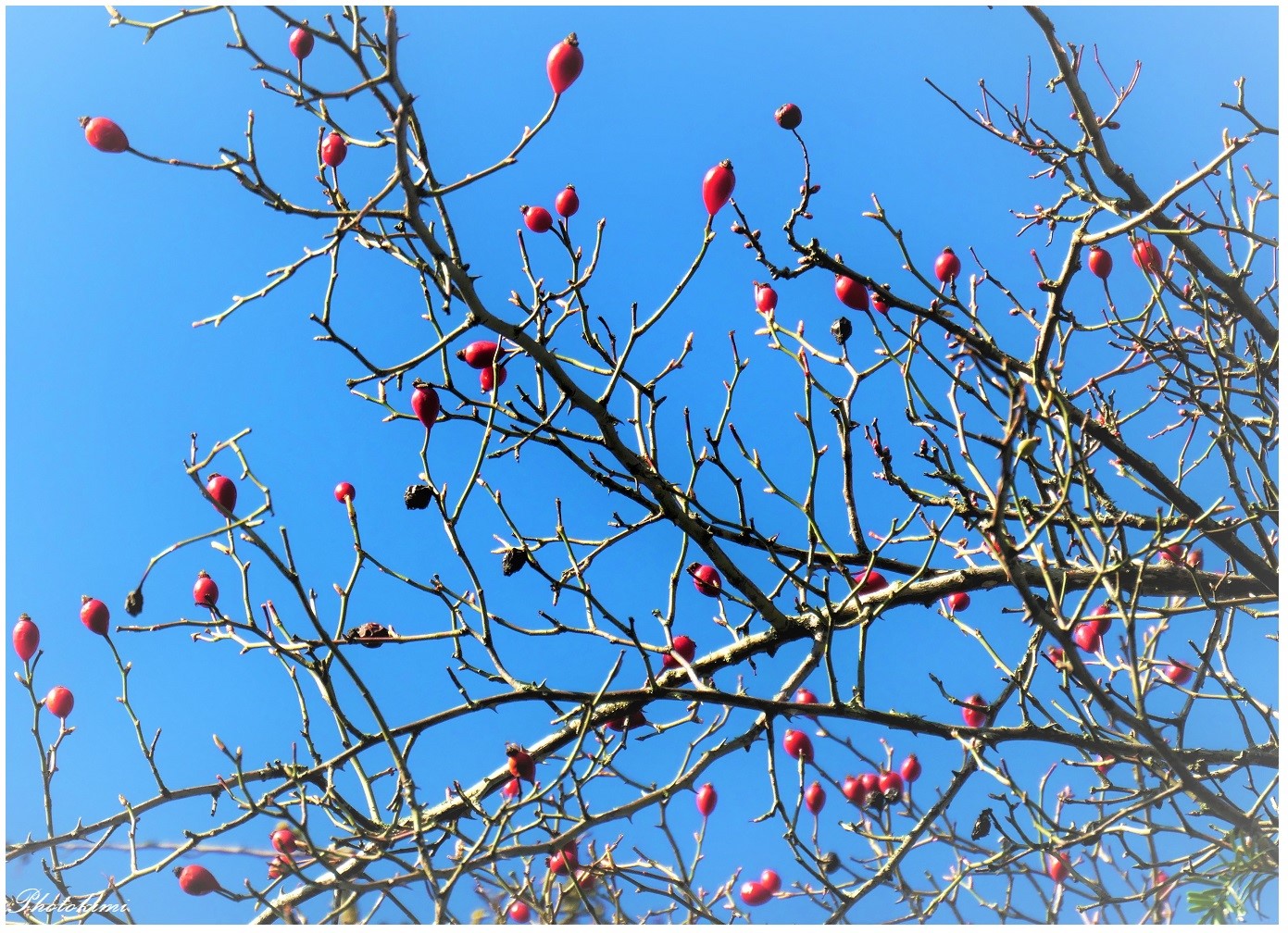 Am blauen Himmel