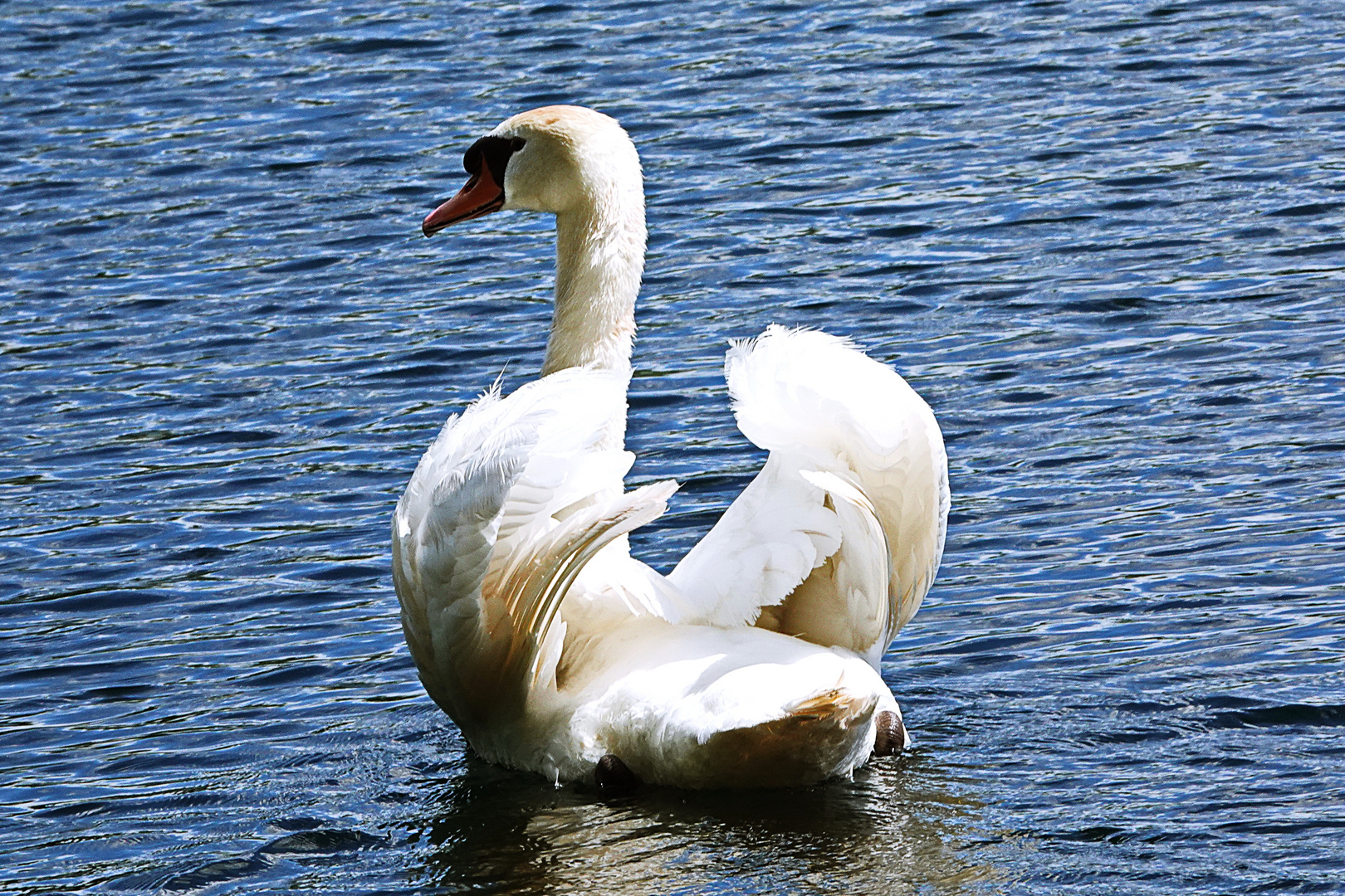 am blauen Montag im blauen Wasser