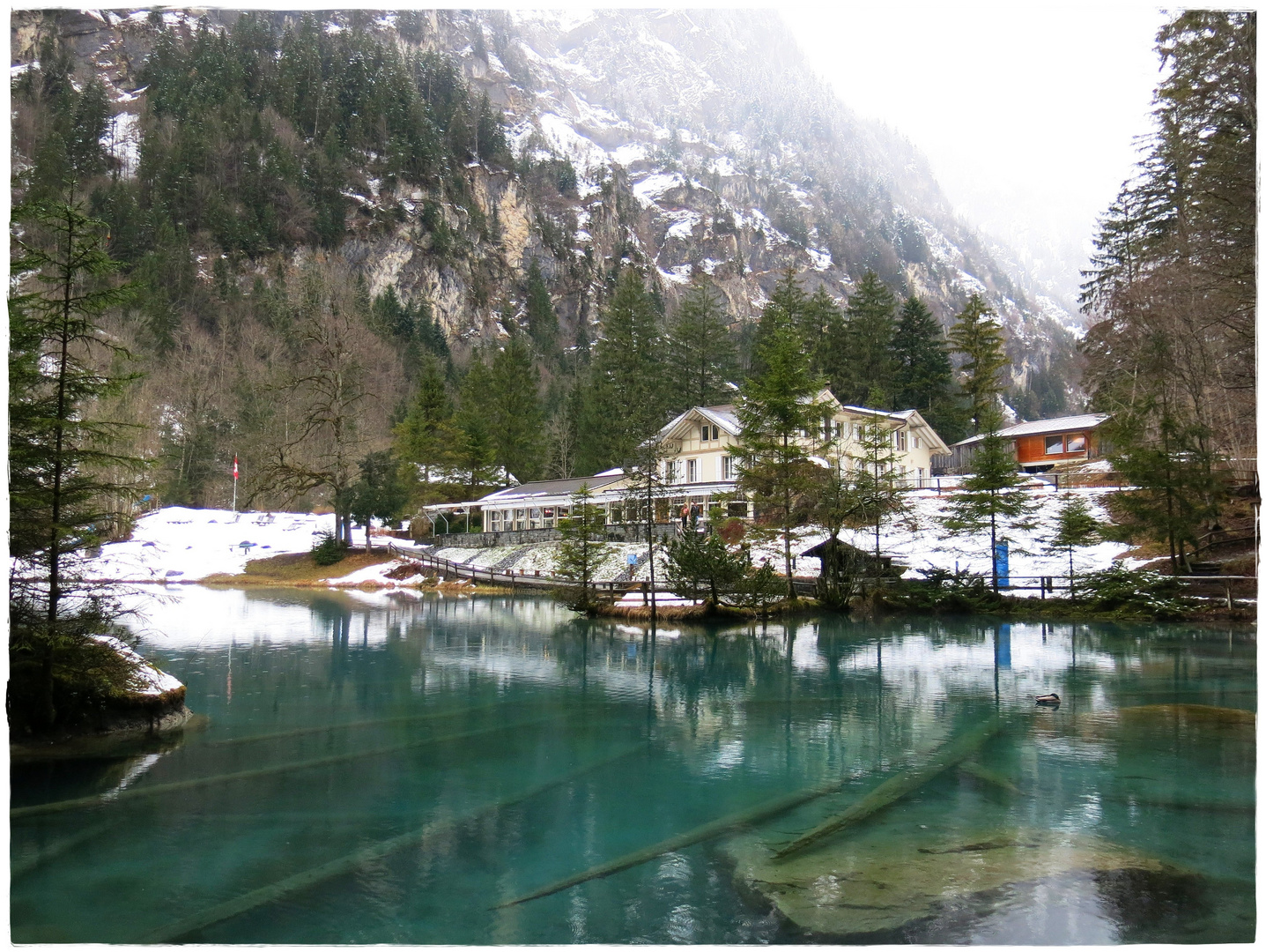 am blauen See