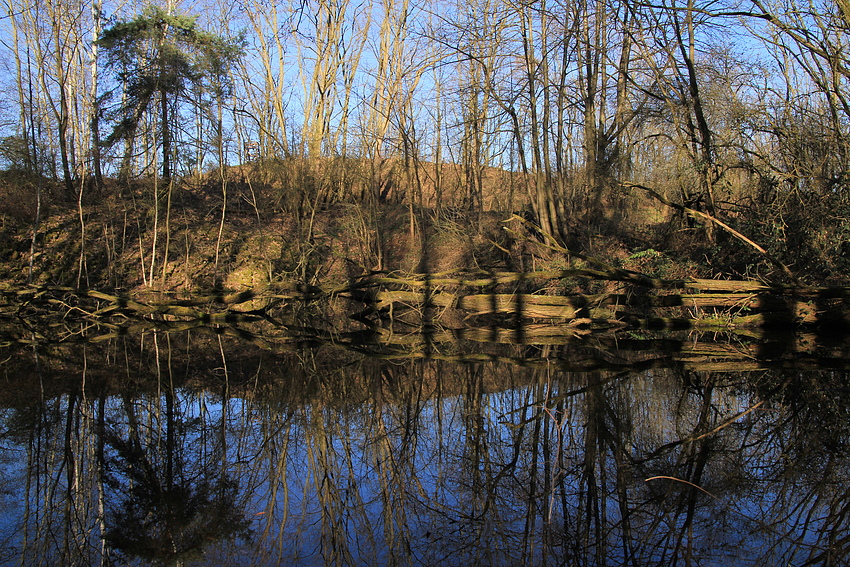 Am blauen See