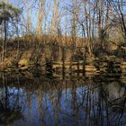 Am blauen See