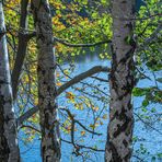 am Blauen See I  -  Hannover-Misburg