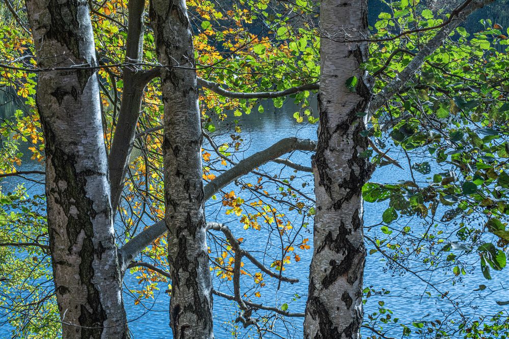 am Blauen See I  -  Hannover-Misburg