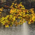 am Blauen See IV - Hannover-Misburg