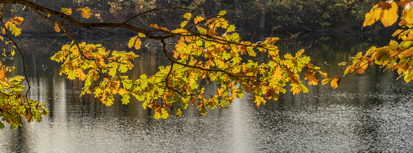 am Blauen See IV - Hannover-Misburg