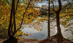 am Blauen See VI - Hannover-Misburg