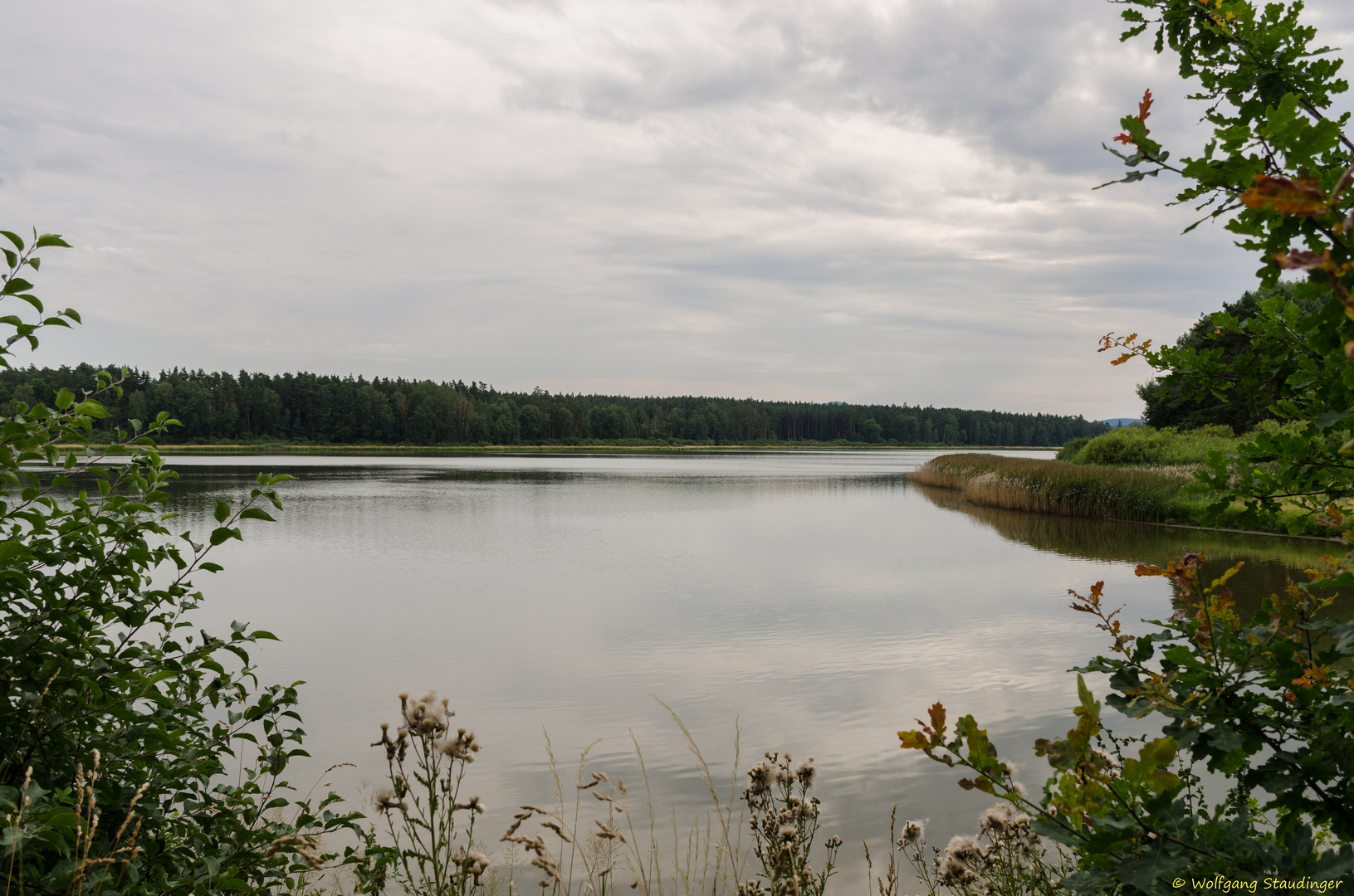 am blauen Weiher (2)