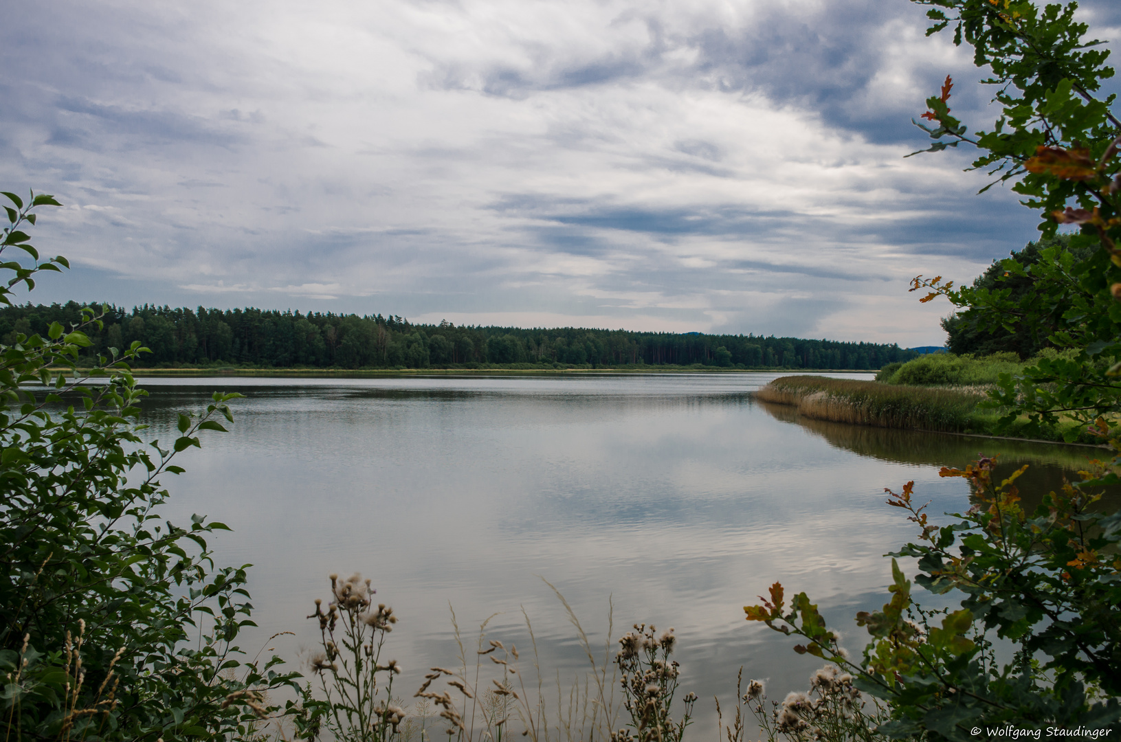 am blauen Weiher