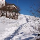 Am Blauenhaus