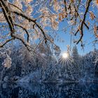 Am Blausee-1