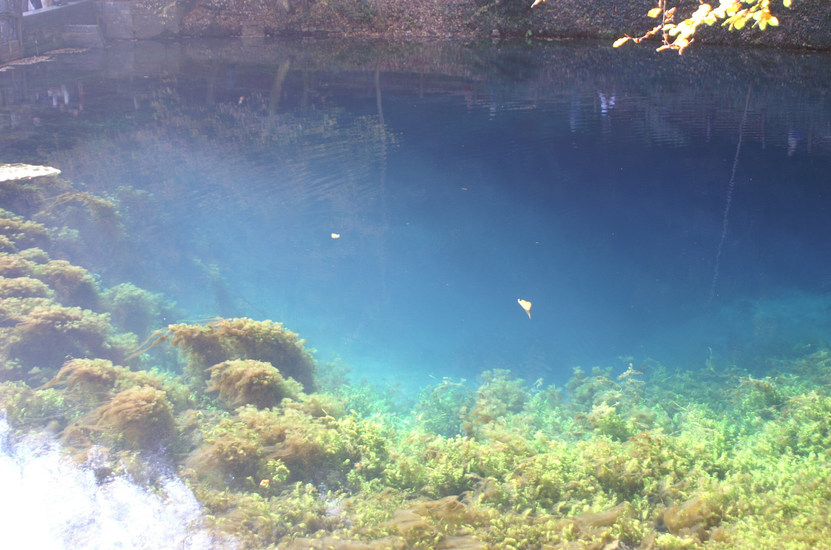 am Blautopf