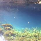 am Blautopf