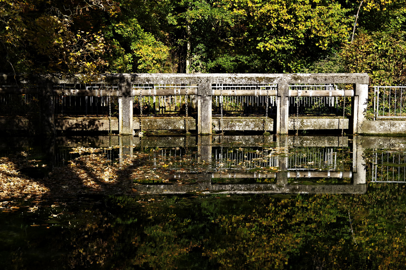 am Blautopf