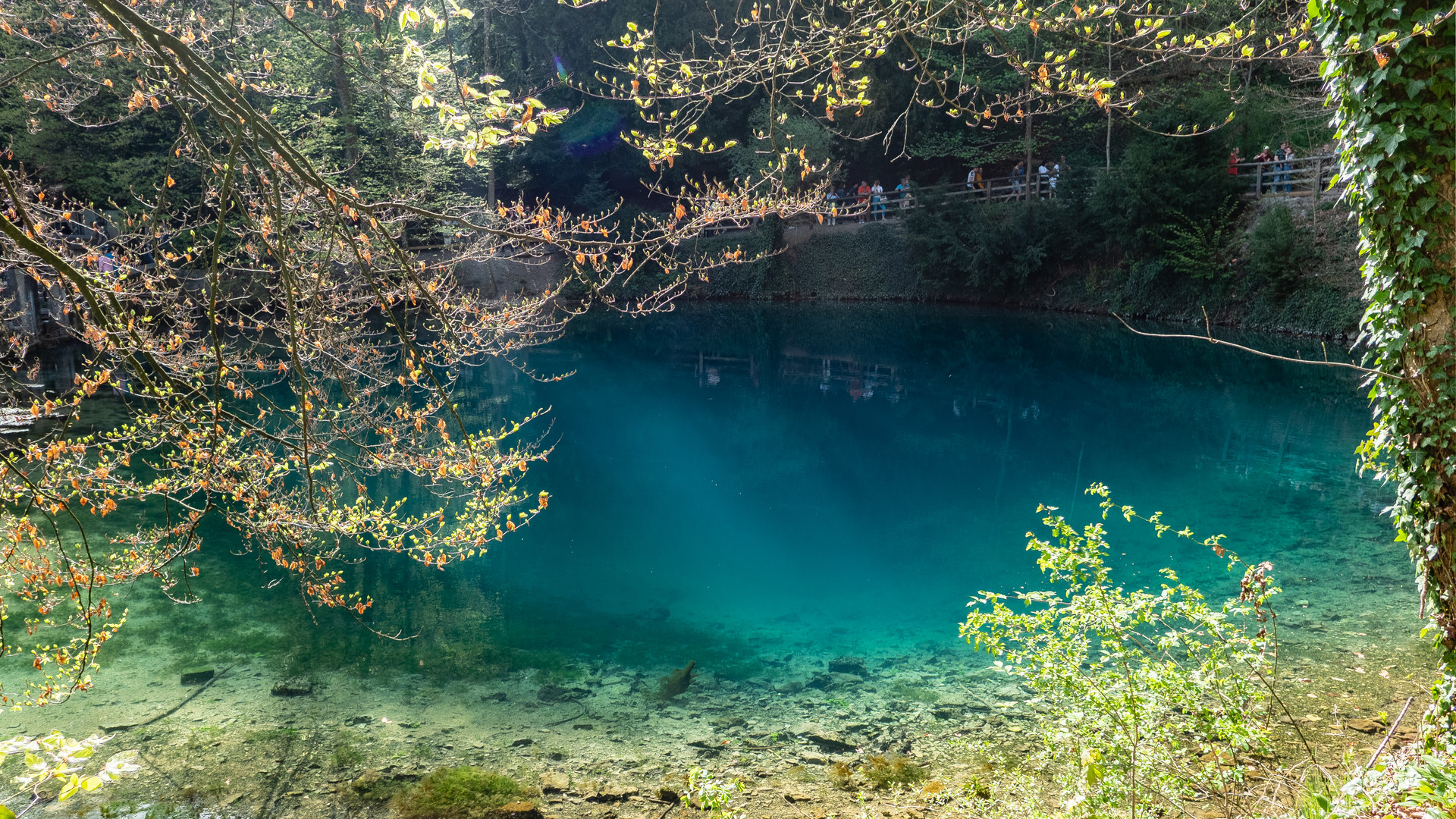 Am Blautopf