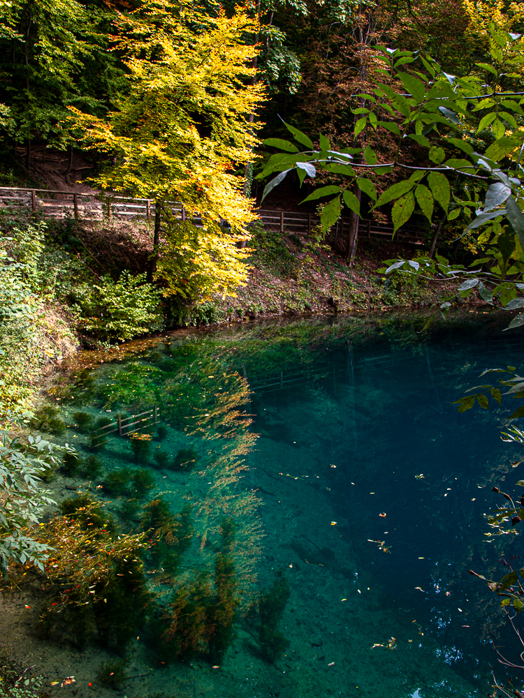 Am Blautopf