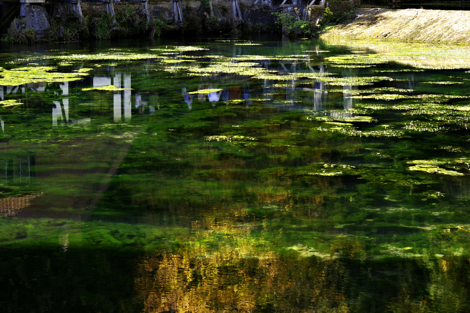 am Blautopf