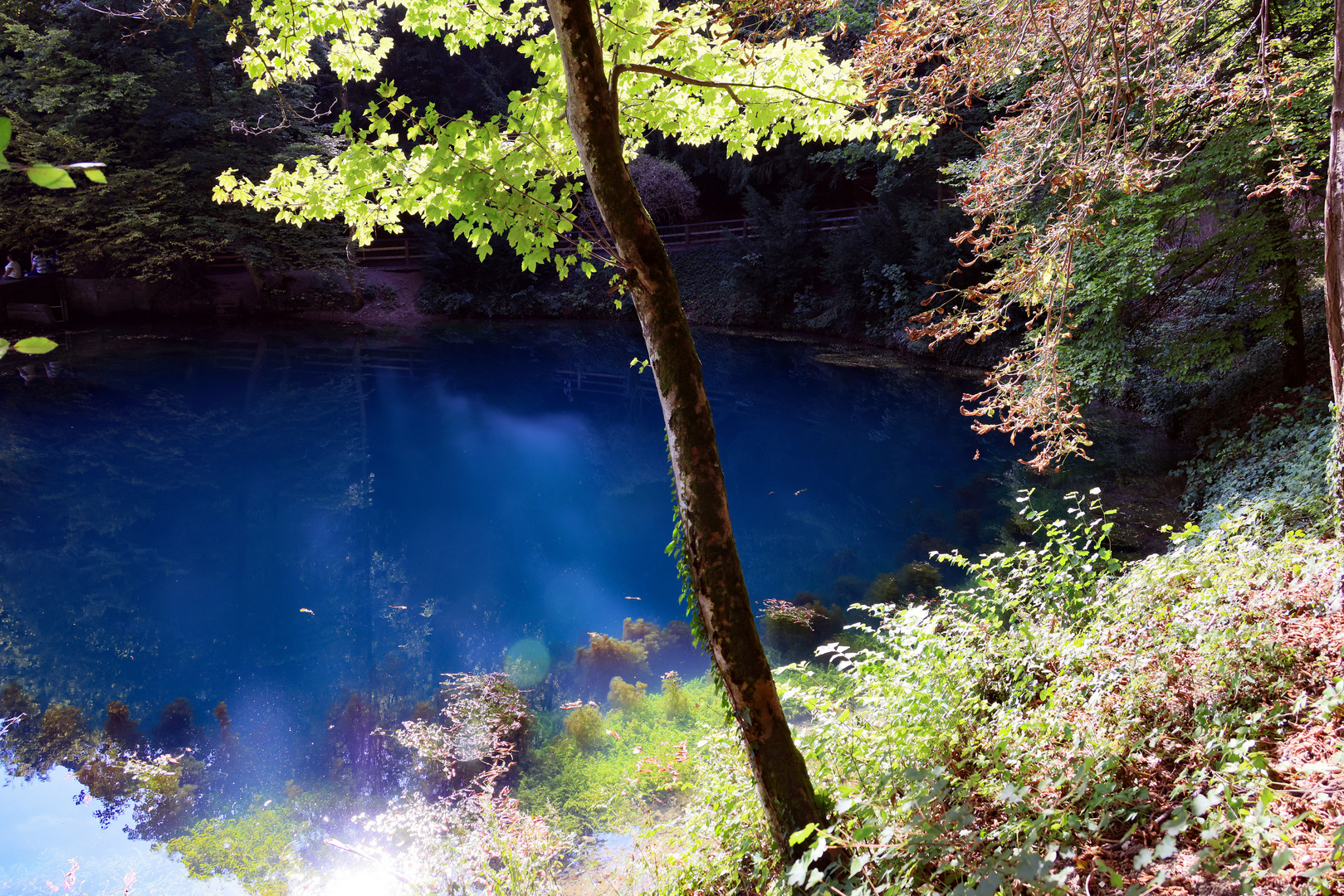 Am Blautopf in Blaubeuren