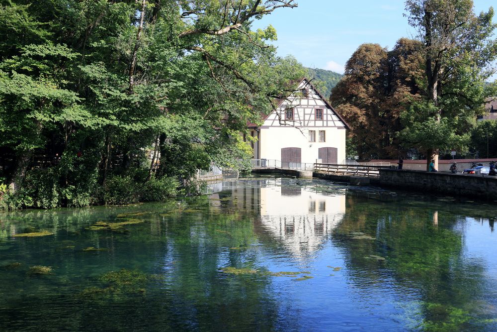 Am Blautopf in Blaubeuren Foto & Bild teich, kalk, blaubeuren Bilder