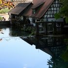 Am Blautopf in Blaubeuren